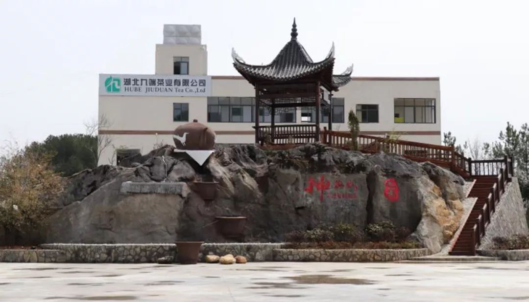 野三关高山富硒蔬菜(野三关富硒地)-硒宝网