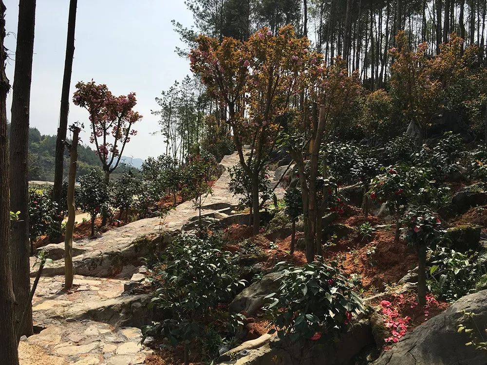 野三关高山富硒蔬菜(野三关富硒地)-硒宝网