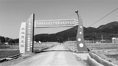 梓山富硒蔬菜产业园(梓山镇蔬菜基地)-硒宝网