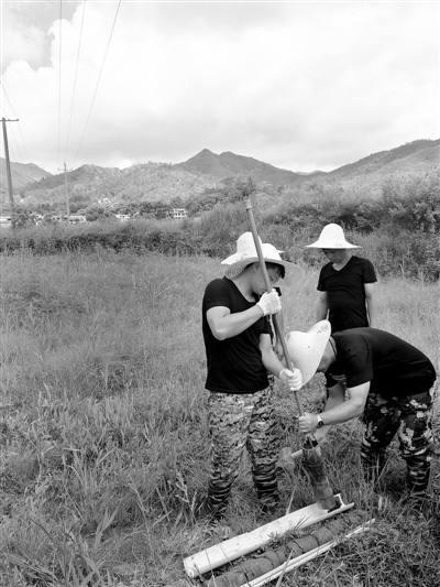 梓山富硒蔬菜产业园(梓山镇蔬菜基地)-硒宝网
