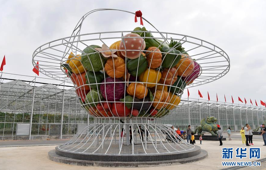 潭头村富硒蔬菜基地(名胜富硒农庄)-硒宝网