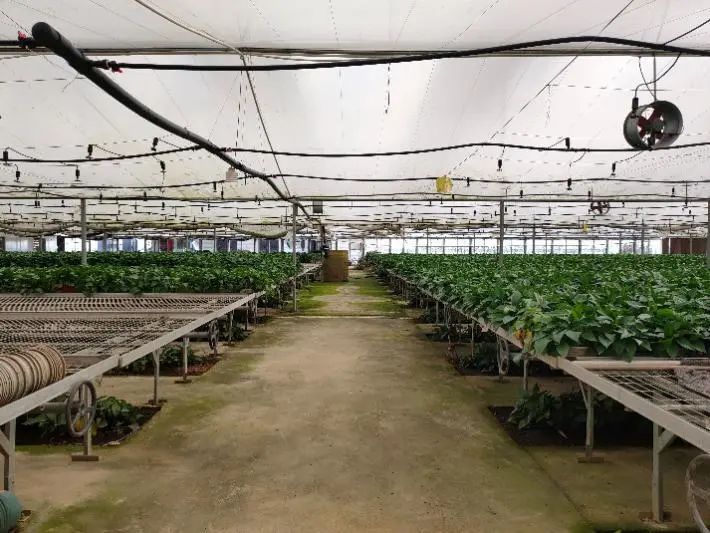 嘉禾县富硒蔬菜基地（嘉禾县富硒村）-硒宝网