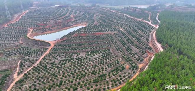 万安县富硒蔬菜种植(富硒种植基地)-硒宝网