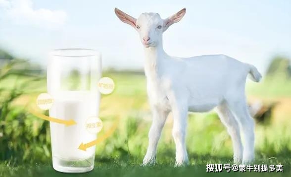 富硒水果作用和功效(水果功效作用富硒是什么)-硒宝网