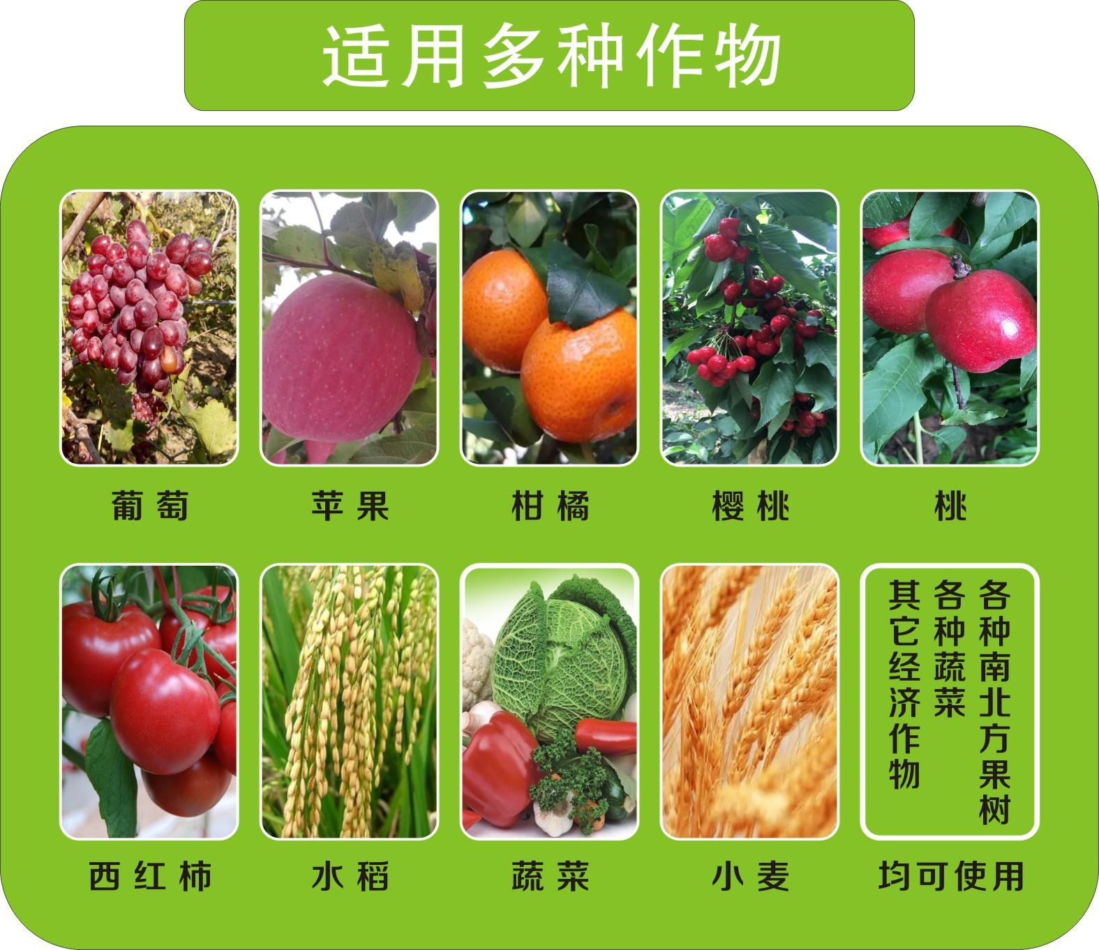 富硒水果可以放多久（水果放富硒可以保存多久）-硒宝网