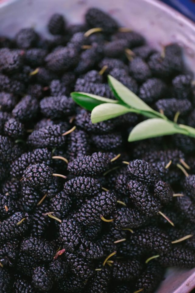 富硒水果油桃的特点(水果油桃的功效)-硒宝网