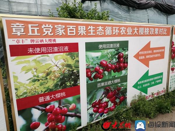 济南富硒水果哪家好(济南富硒西瓜)-硒宝网