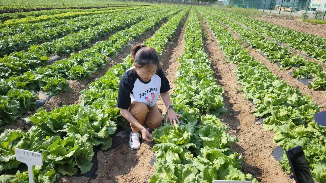 富硒水果酵素有哪些（酵素硒对作物的作用）-硒宝网