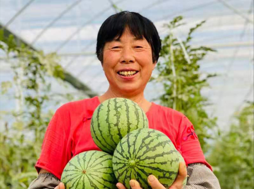 富硒水果酵素有哪些（酵素硒对作物的作用）-硒宝网