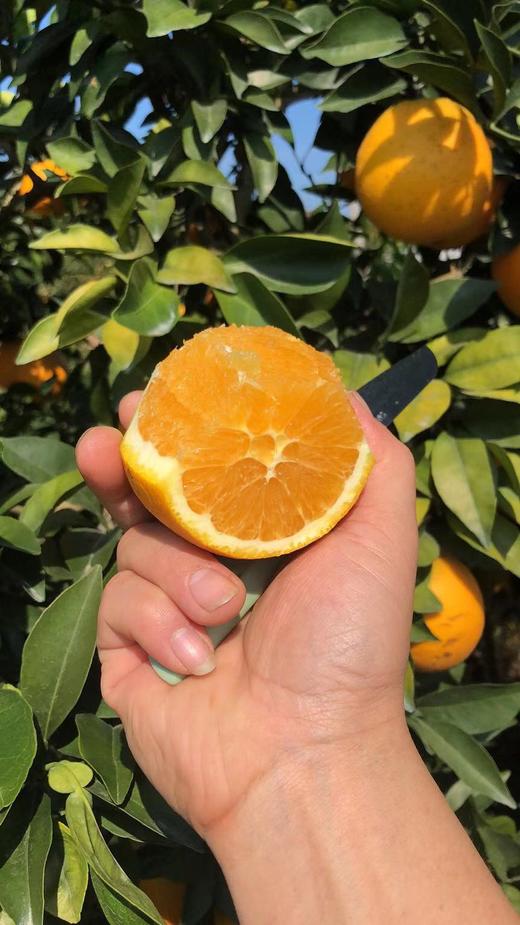 诏安富硒土特产水果（诏安富硒产品）-硒宝网