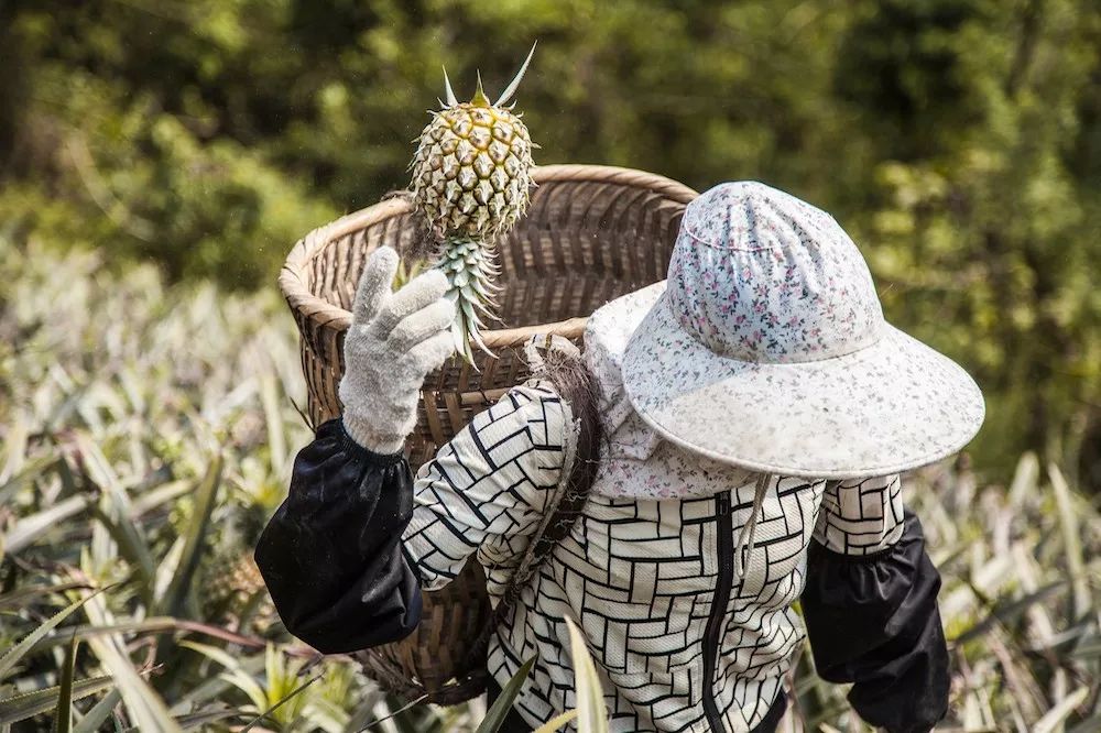 富硒水果可以放多久（富硒可以用吗）-硒宝网