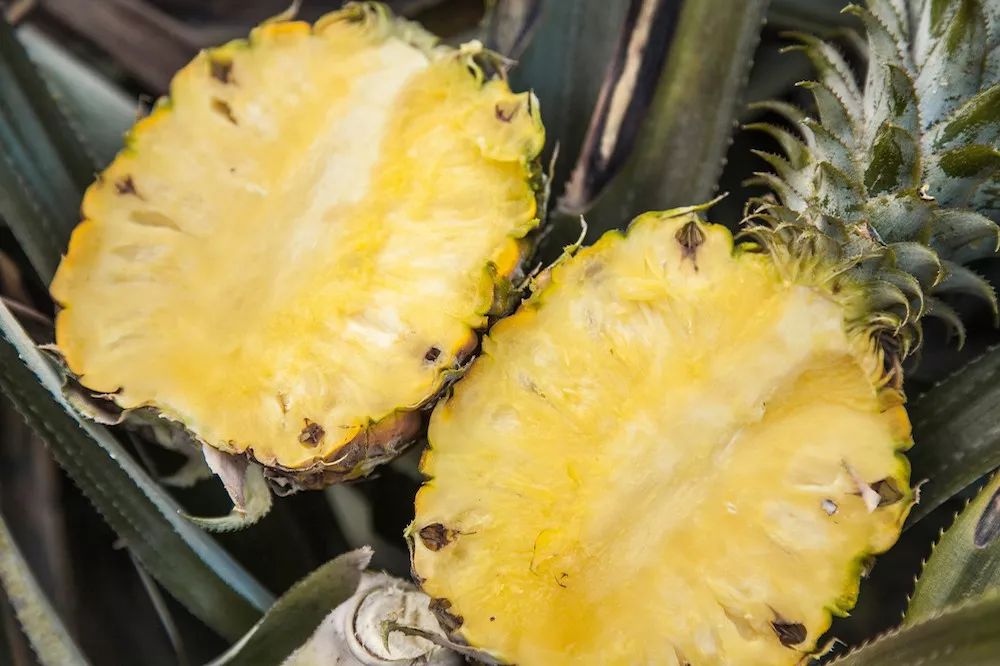 富硒水果可以放多久（富硒可以用吗）-硒宝网