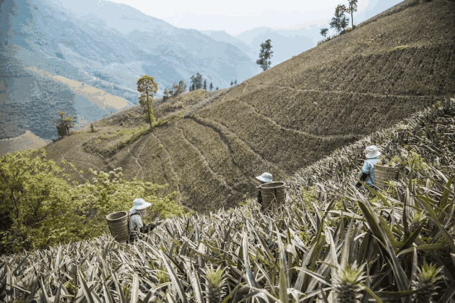 富硒水果可以放多久（富硒可以用吗）-硒宝网