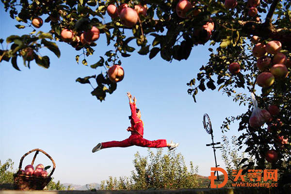 沂源富硒水果树价格(沂源富硒苹果价格)-硒宝网