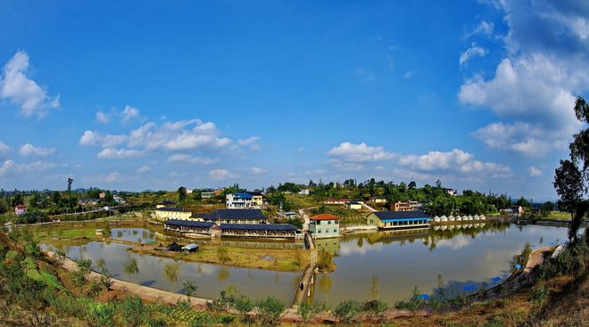 桓台富硒水果采摘园（桓台采摘园哪个环境好）-硒宝网