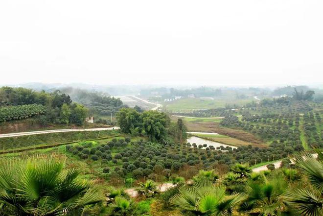 桓台富硒水果采摘园（桓台采摘园哪个环境好）-硒宝网