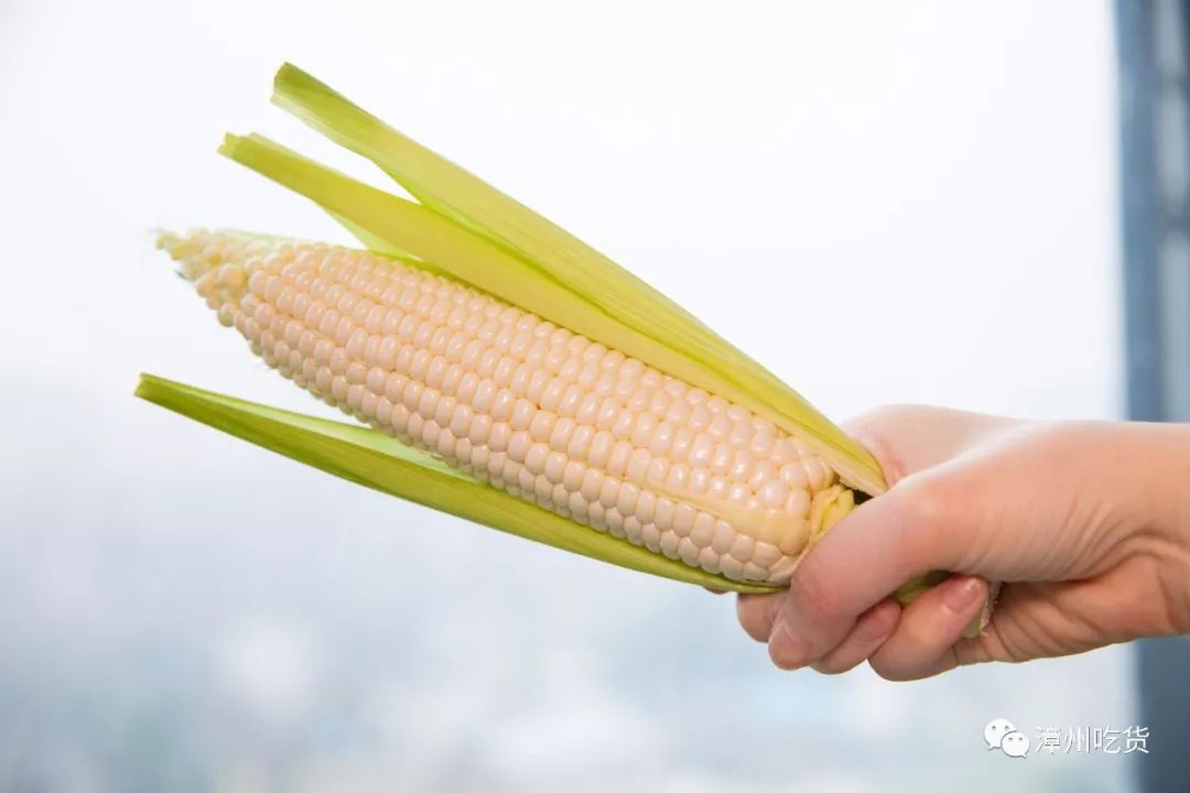 水果玉米有没有富硒（富硒玉米好吃吗）-硒宝网