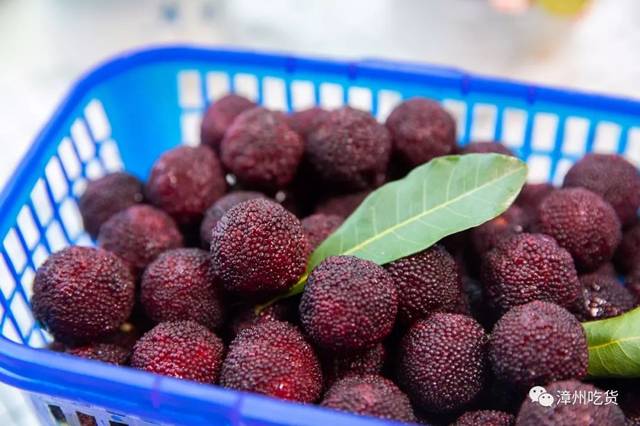 水果玉米有没有富硒（富硒玉米好吃吗）-硒宝网