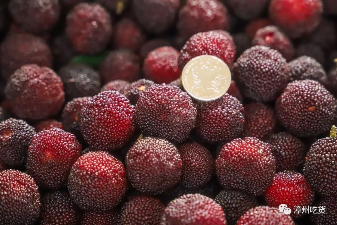 水果玉米有没有富硒（富硒玉米好吃吗）-硒宝网