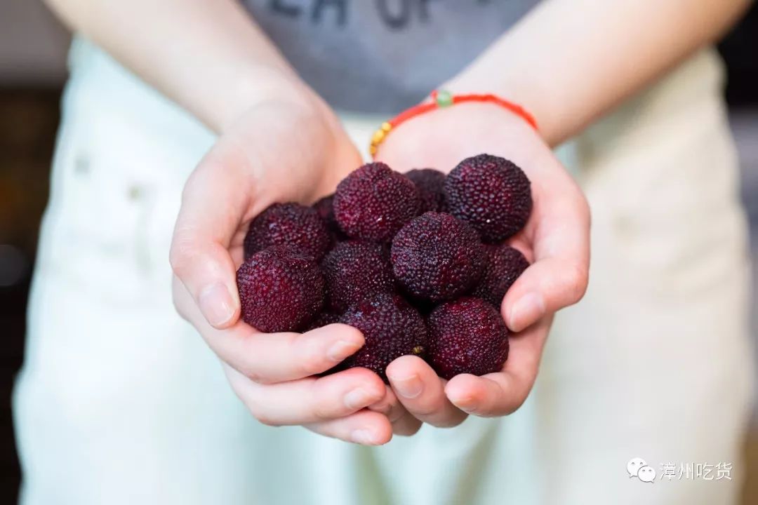 水果玉米有没有富硒（富硒玉米好吃吗）-硒宝网