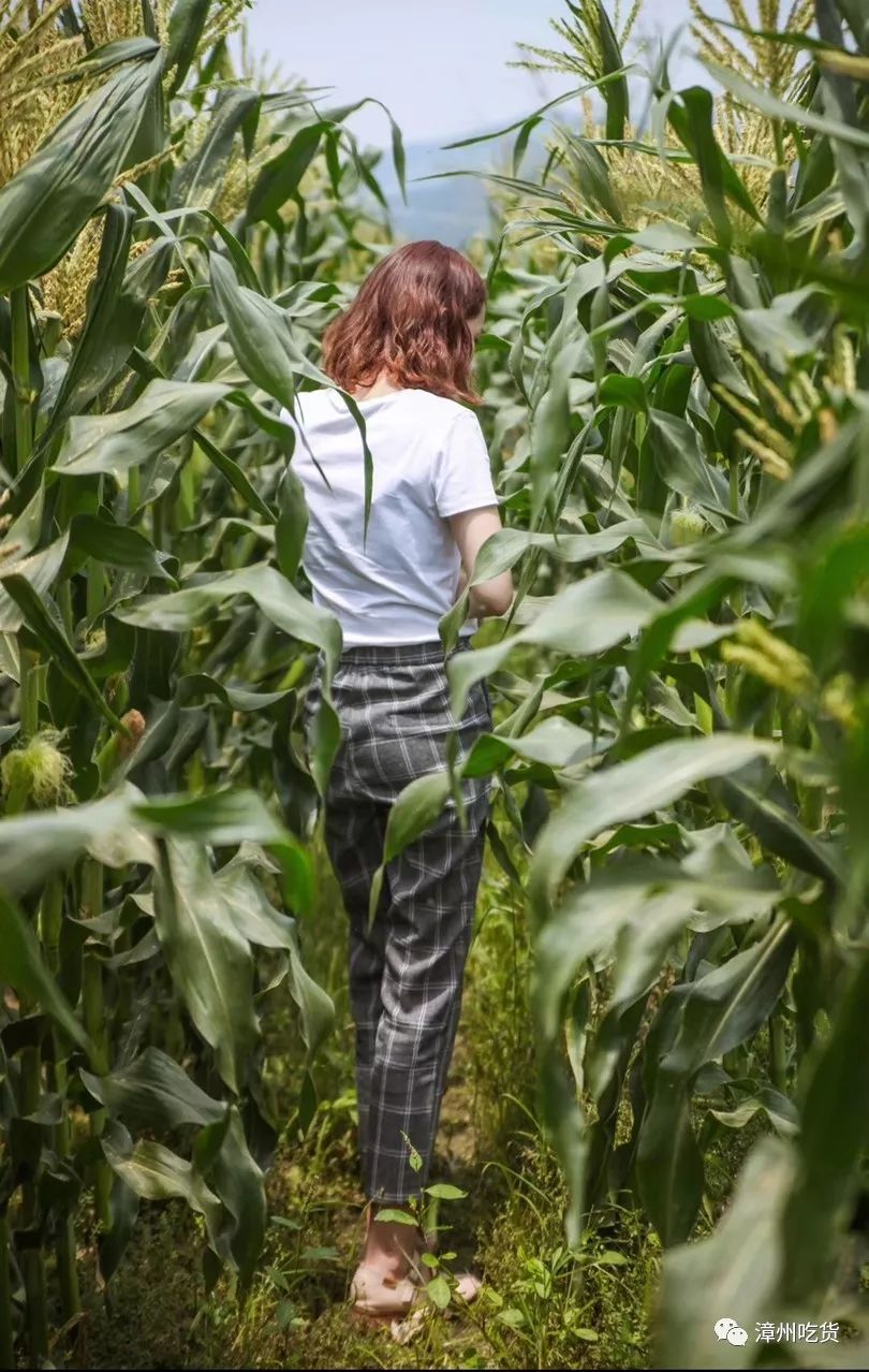 水果玉米有没有富硒（富硒玉米好吃吗）-硒宝网