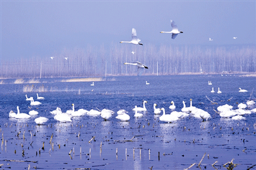 富硒水果的种植方法（水果种植富硒方法图片）-硒宝网