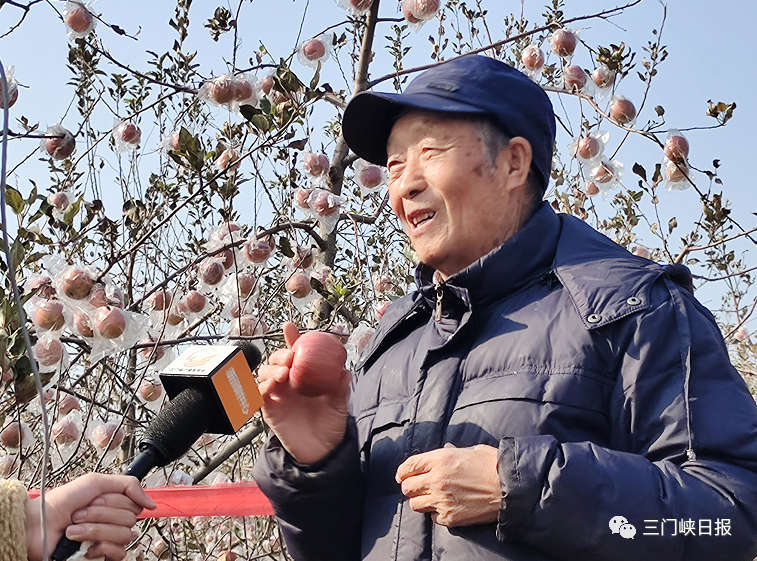 富硒水果的种植方法（水果种植富硒方法图片）-硒宝网