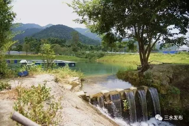 富硒水果采摘园特点（采摘园水果种植品种）-硒宝网