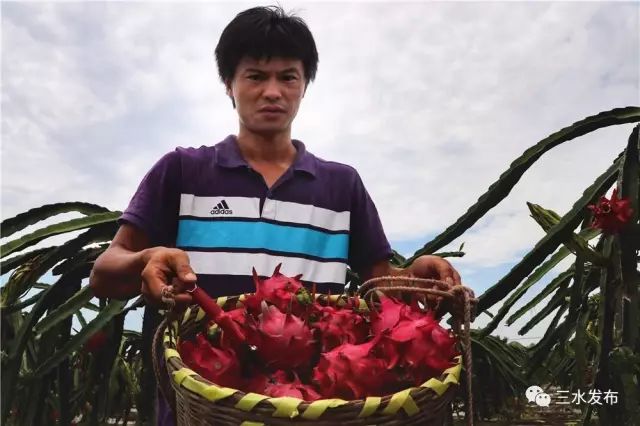 富硒水果采摘园特点（采摘园水果种植品种）-硒宝网