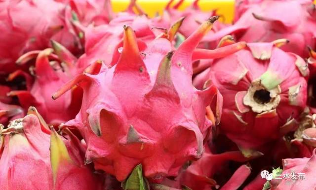 富硒水果采摘园特点（采摘园水果种植品种）-硒宝网