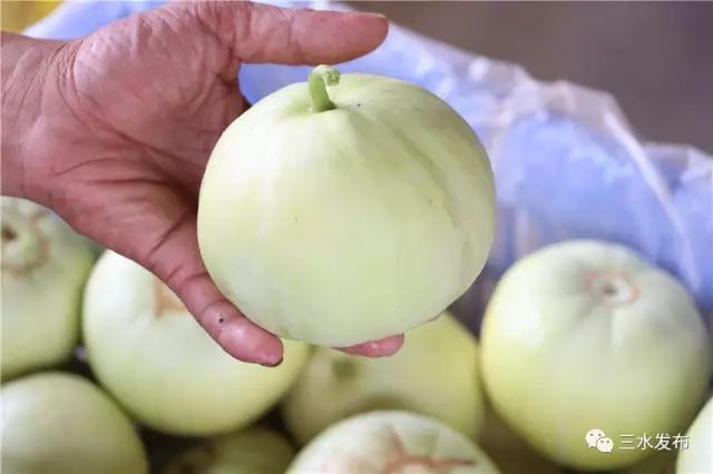 富硒水果采摘园特点（采摘园水果种植品种）-硒宝网