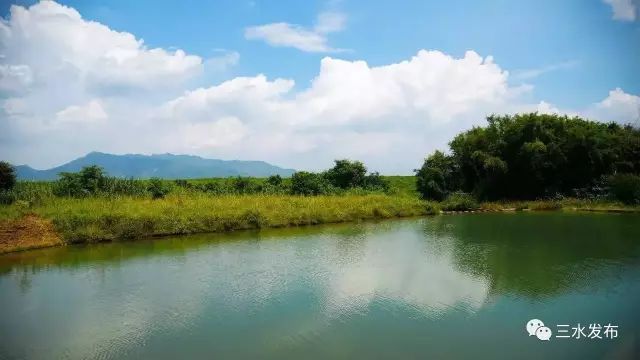 富硒水果采摘园特点（采摘园水果种植品种）-硒宝网