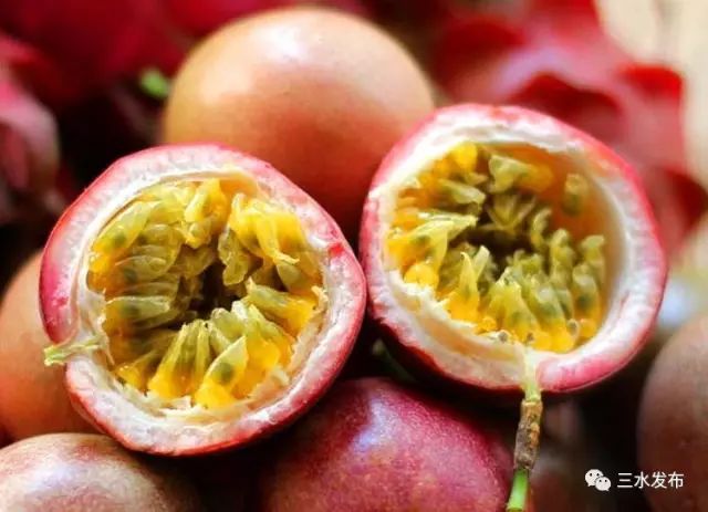 富硒水果采摘园特点（采摘园水果种植品种）-硒宝网