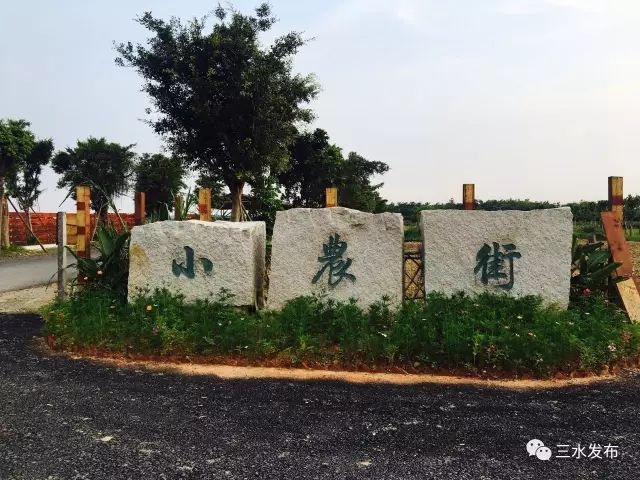 富硒水果采摘园特点（采摘园水果种植品种）-硒宝网