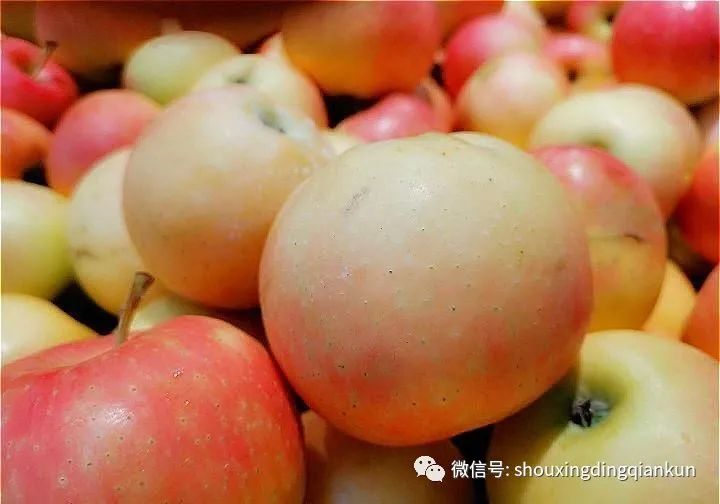 什么水果富硒多糖多（富硒的水果）-硒宝网