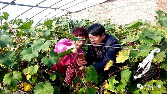 问什么是 富硒水果（富硒水果的国家标准是多少）-硒宝网