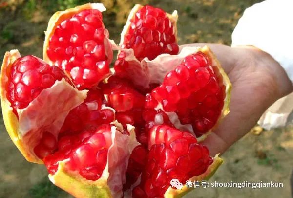 什么水果富硒多糖多(水果多糖富硒含量)-硒宝网