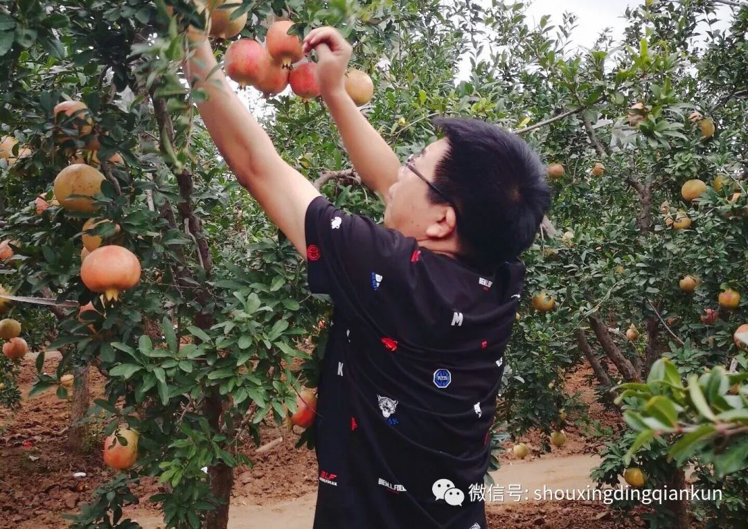 什么水果富硒多糖多(水果多糖富硒含量)-硒宝网