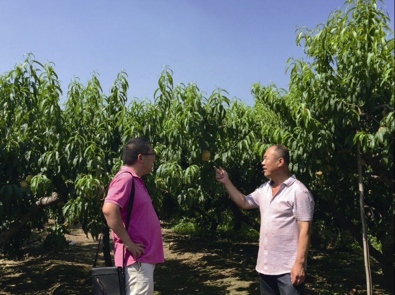 北京安定镇富硒水果(北京安定镇富硒水果)-硒宝网