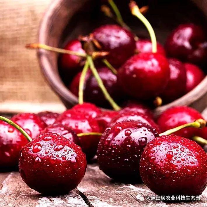 富硒水果孕妇能吃吗(孕妇能水果吃富硒鸡蛋吗)-硒宝网