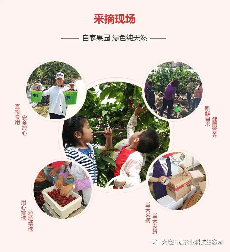 富硒水果孕妇能吃吗(孕妇能水果吃富硒鸡蛋吗)-硒宝网