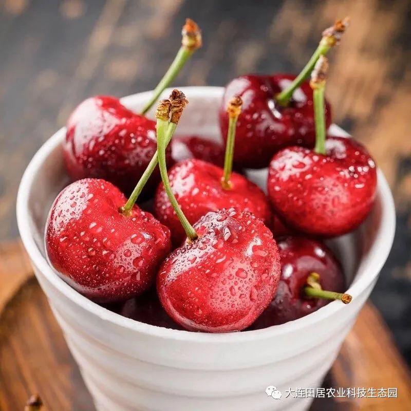 富硒水果孕妇能吃吗(孕妇能水果吃富硒鸡蛋吗)-硒宝网