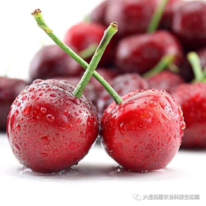 富硒水果孕妇能吃吗(孕妇能水果吃富硒鸡蛋吗)-硒宝网