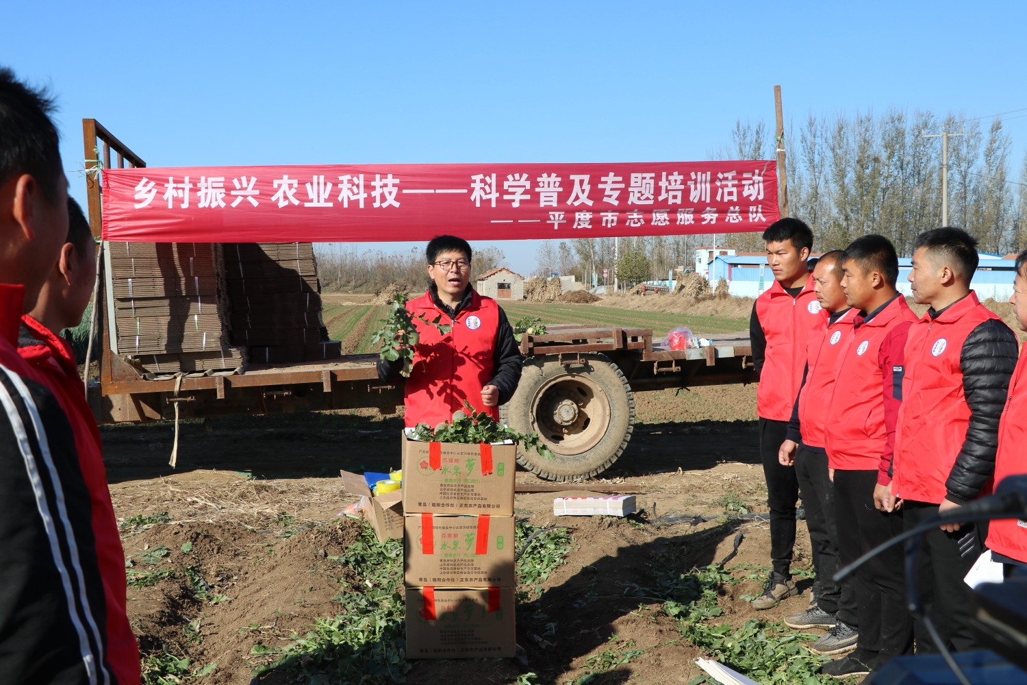 平度市富硒水果萝卜（平度水果萝卜种植基地）-硒宝网