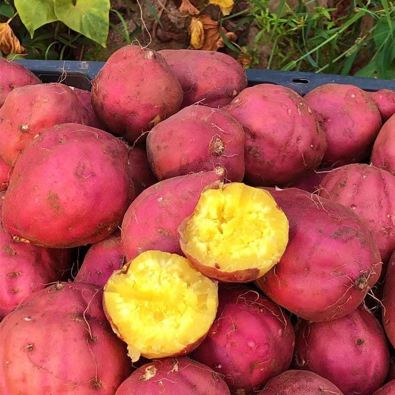 问什么是 富硒水果(富硒水果一览表)-硒宝网