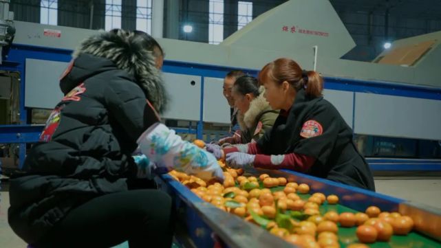 象州富硒水果在哪里（富硒水果功能及作用）-硒宝网