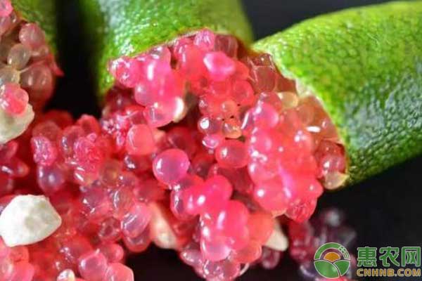 富硒最贵水果排行榜(富硒水果硒含量标准)-硒宝网