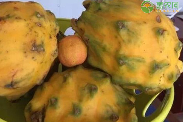 富硒最贵水果排行榜(富硒水果硒含量标准)-硒宝网