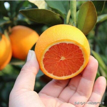 富硒水果孕妇能吃吗(孕妇能水果吃富硒吗)-硒宝网