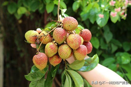 富硒水果孕妇能吃吗(孕妇能水果吃富硒吗)-硒宝网